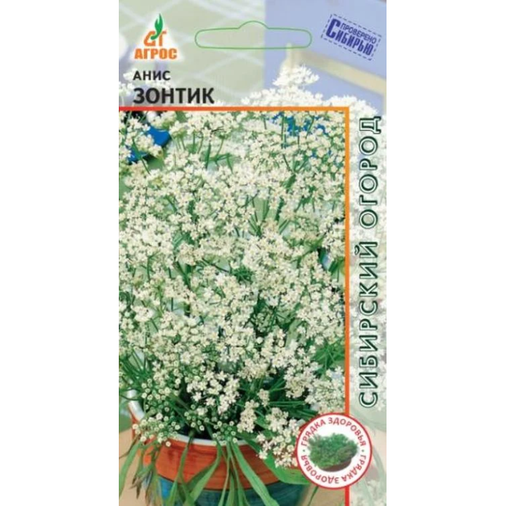 ЗОНТИК