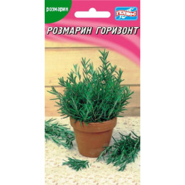 ГОРИЗОНТ