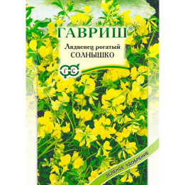 СОЛНЫШКО