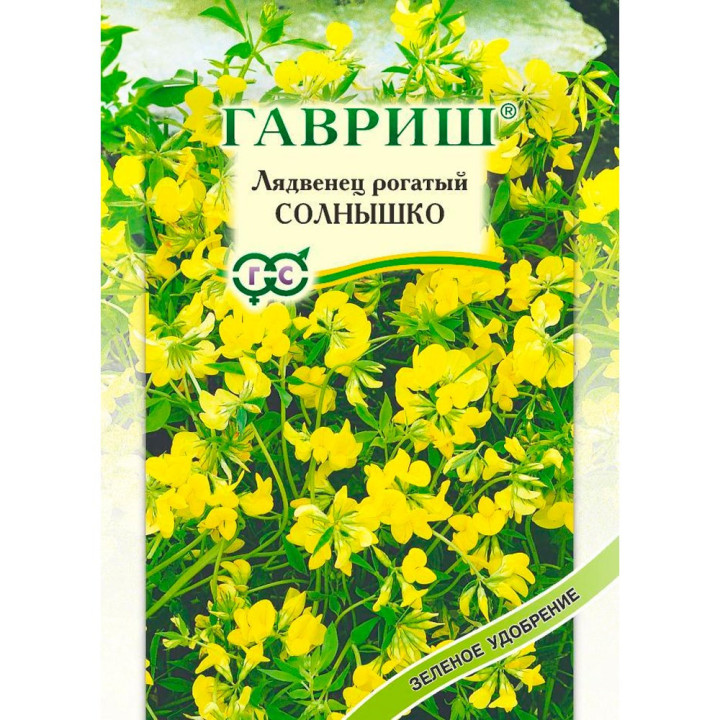 СОЛНЫШКО