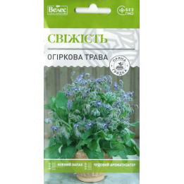 СВЕЖЕСТЬ