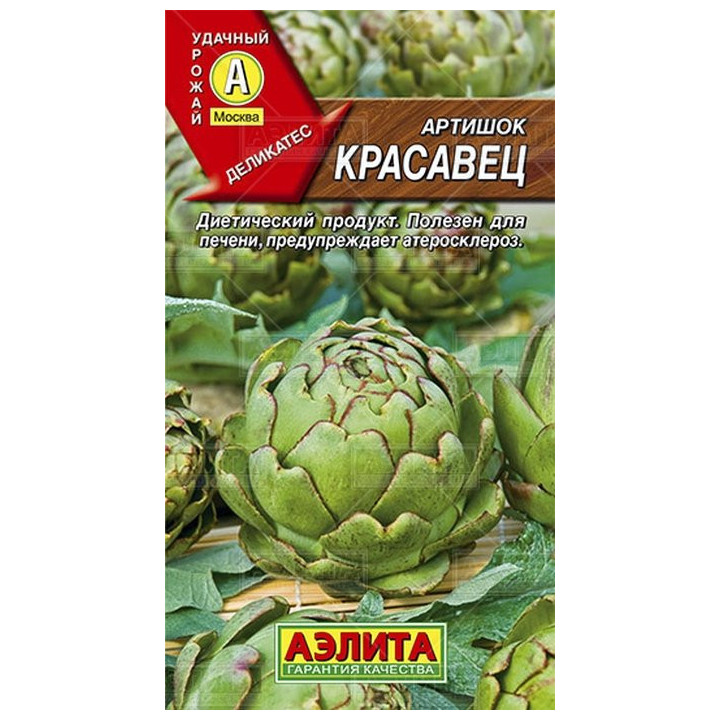 КРАСАВЕЦ