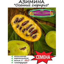 ОСЕННИЙ СЮРПРИЗ