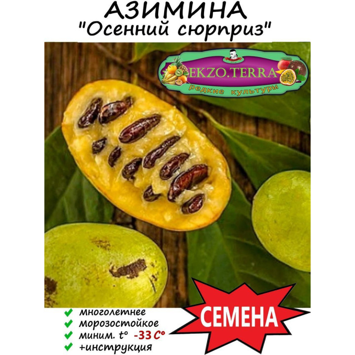 ОСЕННИЙ СЮРПРИЗ