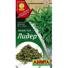 ЛИДЕР
