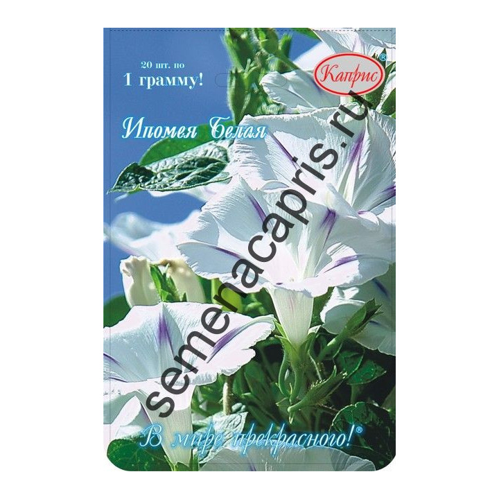 БЕЛАЯ ЛЕБЕДЬ