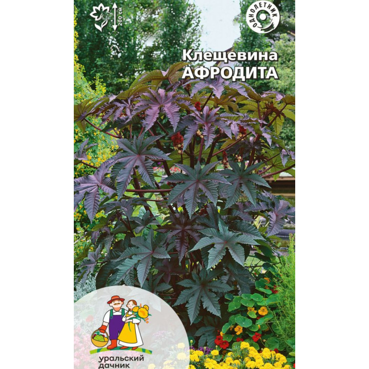 АФРОДИТА