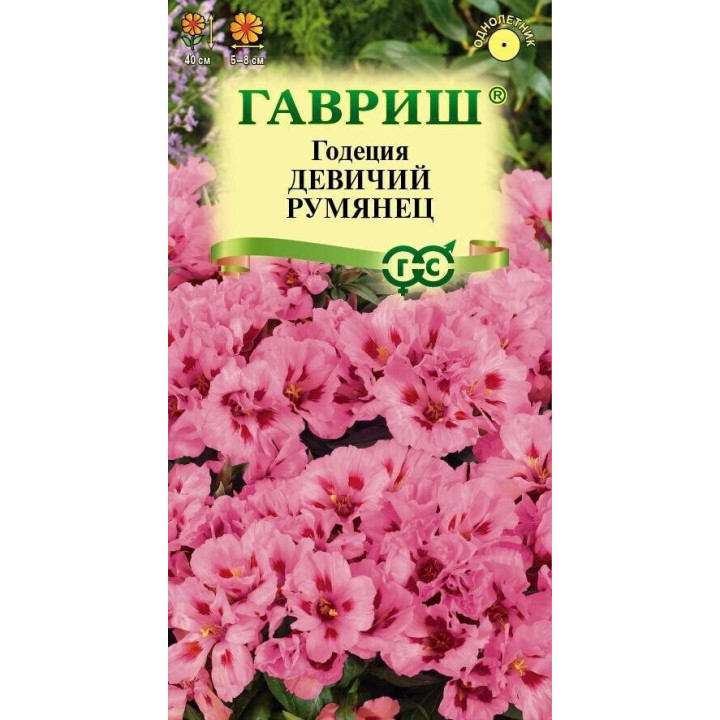 ДЕВИЧИЙ РУМЯНЕЦ
