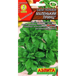 МАЛЕНЬКИЙ ПРИНЦ