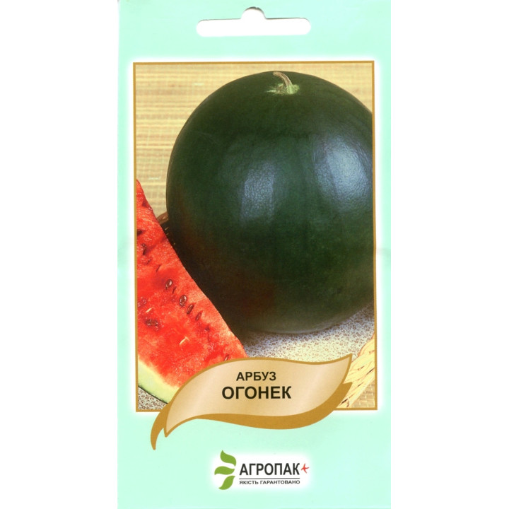 ОГОНЬОК /  ОГОНЕК