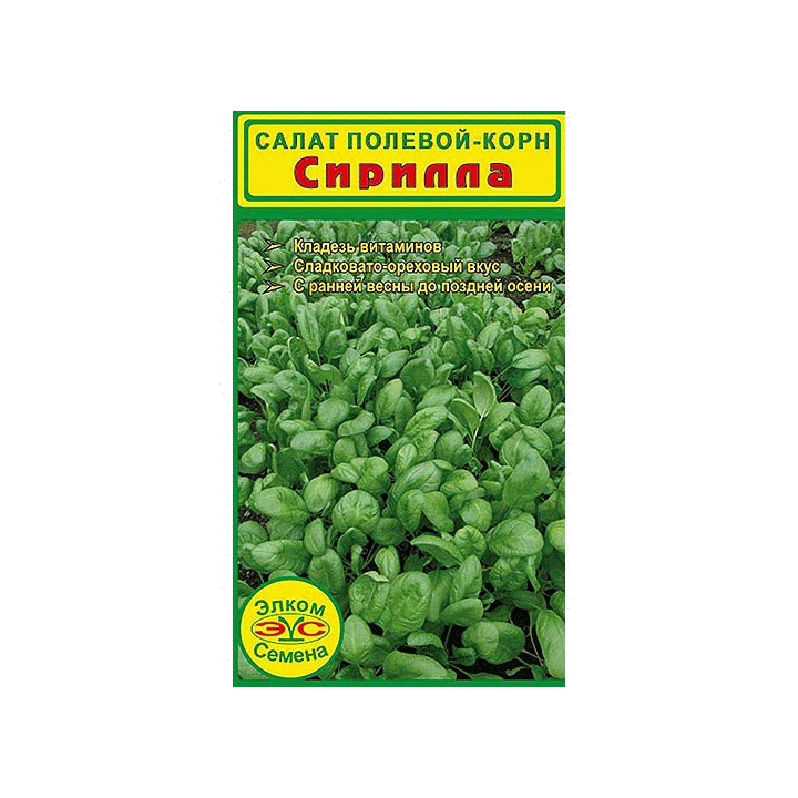 СИРИЛЛА
