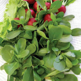 МАКОВЕЙ