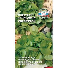 СВЕТЛЯЧОК
