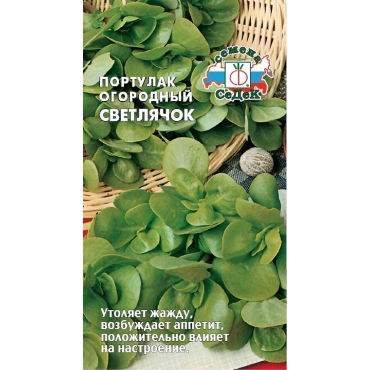 СВЕТЛЯЧОК
