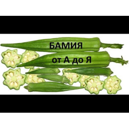 ВЛАДА