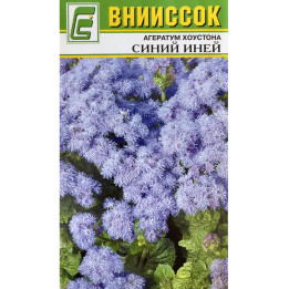 СИНИЙ ИНЕЙ