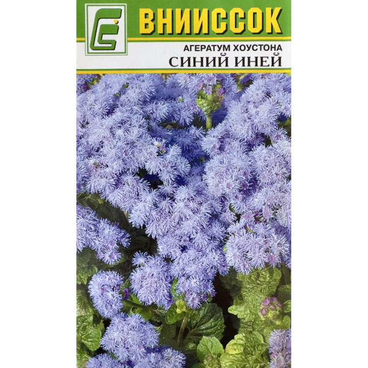 СИНИЙ ИНЕЙ