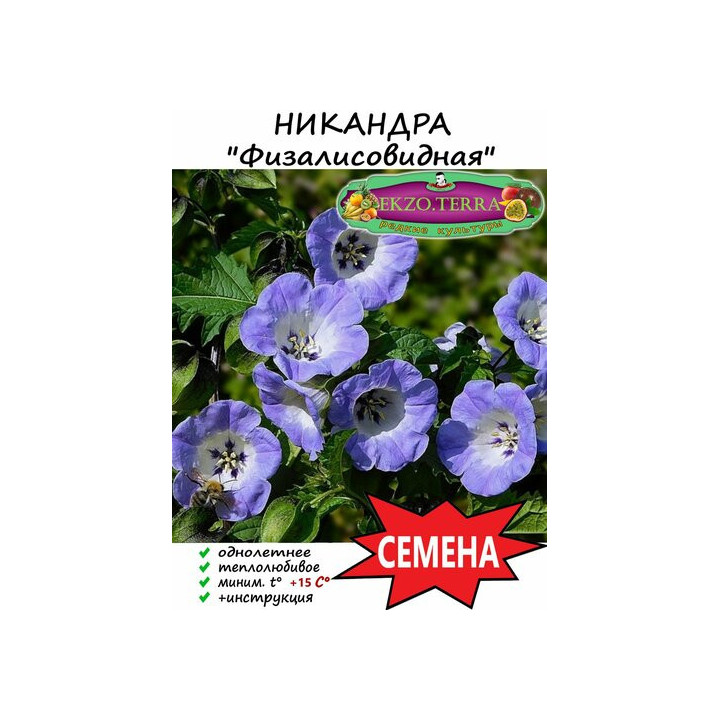 НАХОДКА