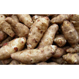 ПАСЬКО