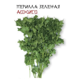 АОЖИСО