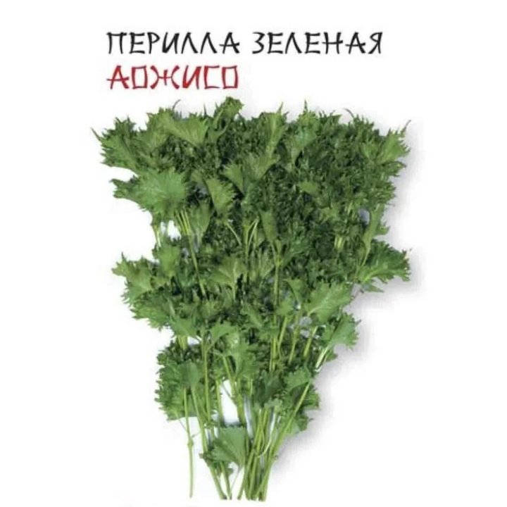 АОЖИСО