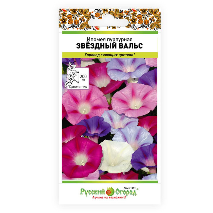 ШКОЛЬНЫЙ ВАЛЬС