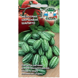 ШАПИТО