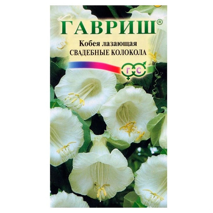 СВАДЕБНЫЕ КОЛОКОЛА