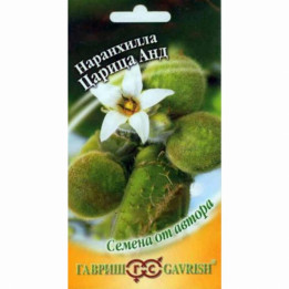 ЦАРИЦА АНД