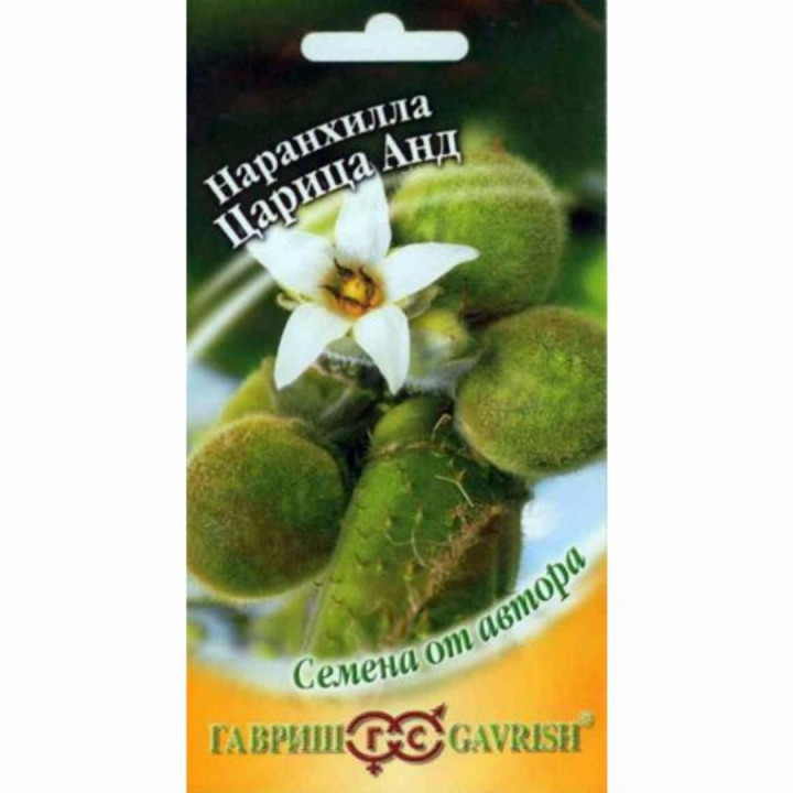 ЦАРИЦА АНД