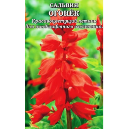 ОГОНЕК