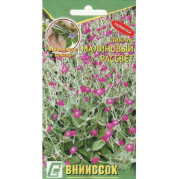 МАЛИНОВЫЙ РАССВЕТ