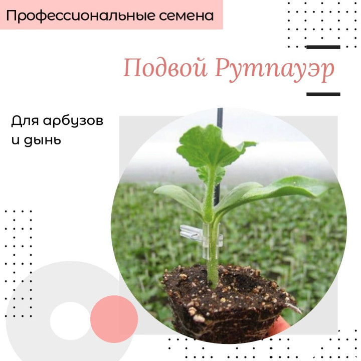 РУТПАУЭР