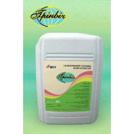 Гринвич