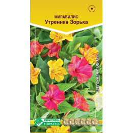 УТРЕННЯЯ ЗОРЬКА