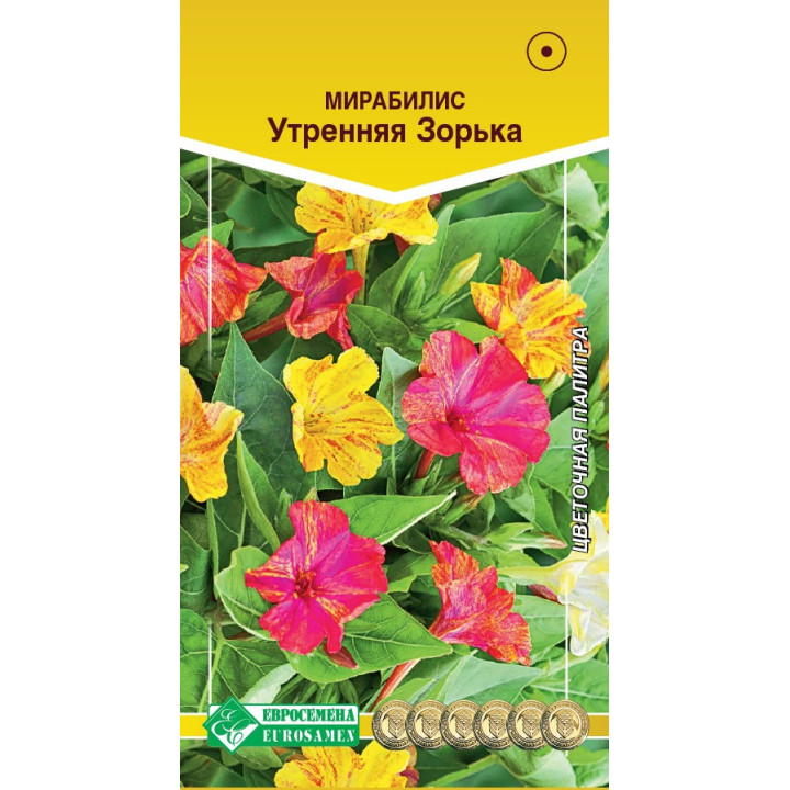 УТРЕННЯЯ ЗОРЬКА