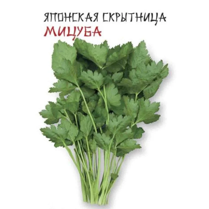 МИЦУБА
