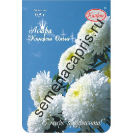 Княгиня