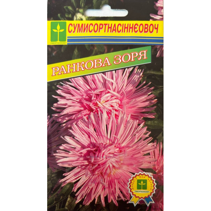 Ранкова зоря