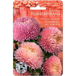 Фламінго