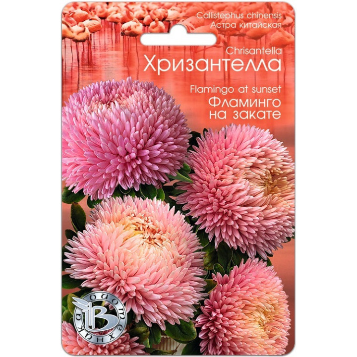 Фламінго