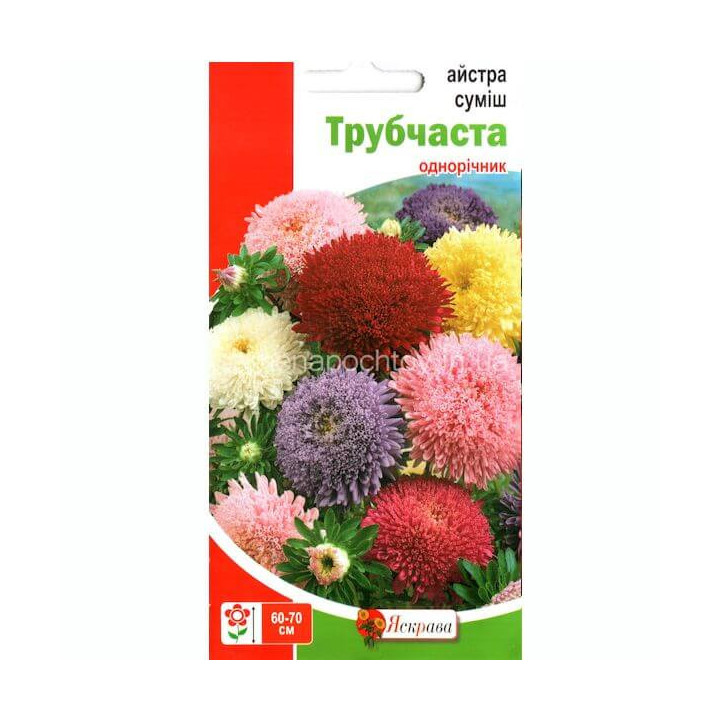 Яскрава