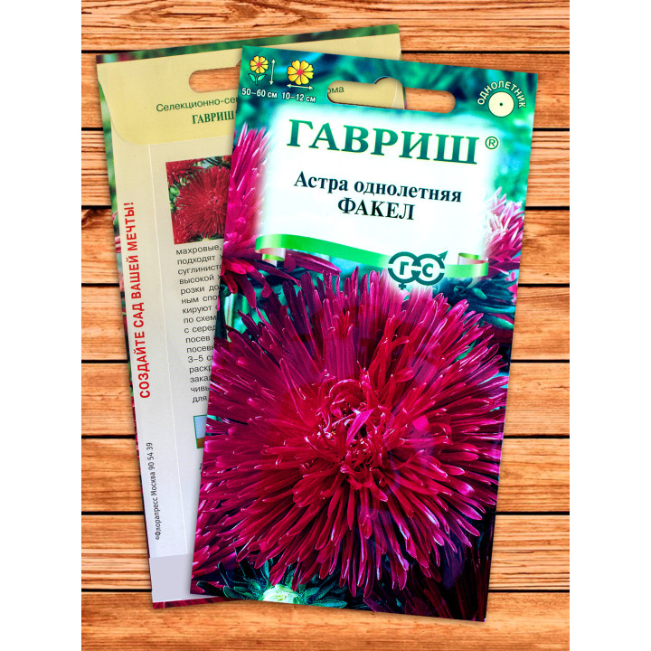 Факел