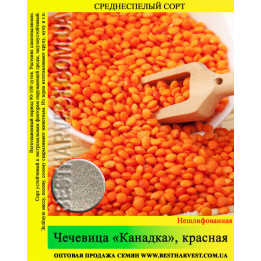 Серпанок