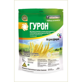 Гурон