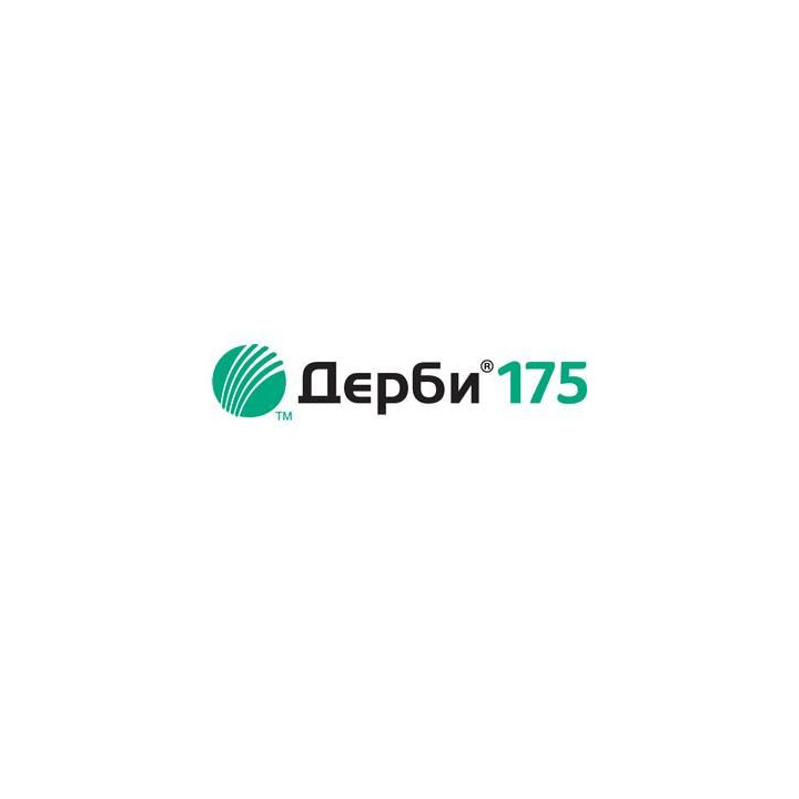 Дерби 175