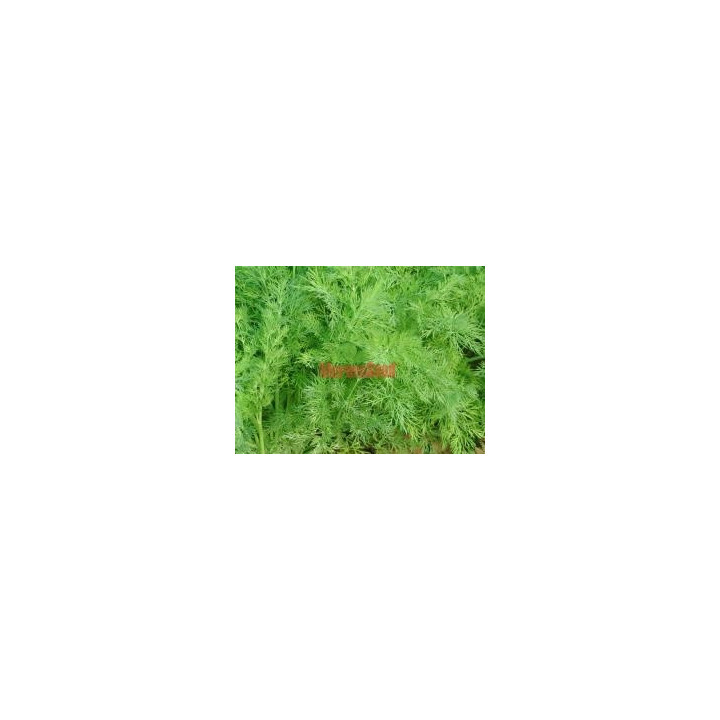 ГАНАК