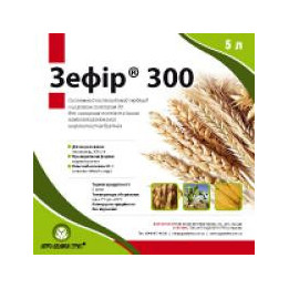 Зефир 300