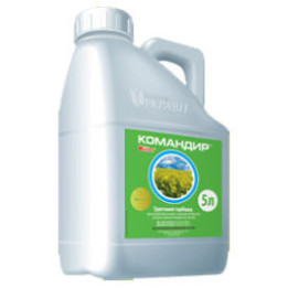 Командир