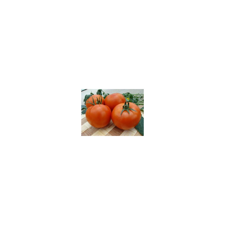 СУ 36/08 F1